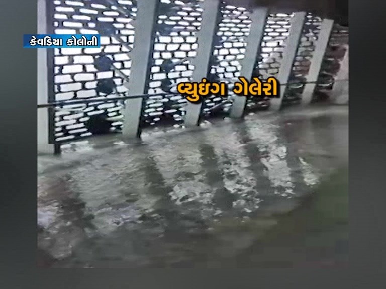 ઘોર બેદરકારી! વિશ્વની સૌથી ઉંચી સરદારની પ્રતિમાની વ્યુઈંગ ગેલેરીમાં ભરાયા વરસાદી પાણી